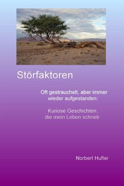 Cover Störfaktoren (eBook, ePUB)