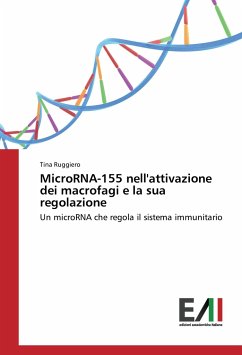 MicroRNA-155 nell'attivazione dei macrofagi e la sua regolazione - Ruggiero, Tina