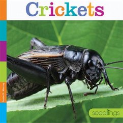 Crickets - Murray, Laura K