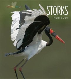 Storks - Gish, Melissa