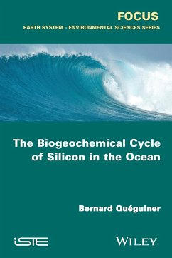 The Biogeochemical Cycle of Silicon in the Ocean - Quéguiner, Bernard