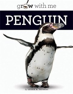 Penguin - Murray, Laura K.