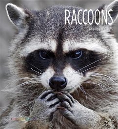 Raccoons - Gish, Melissa