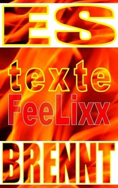 Es brennt (eBook, ePUB) - Lixx, Fee