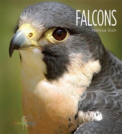 Falcons - Gish, Melissa