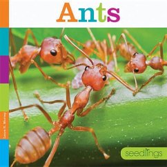 Ants - Murray, Laura K