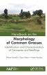 Handbook on the Morphology of Common... - Bild 1