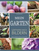 Mein Garten Mein Garten