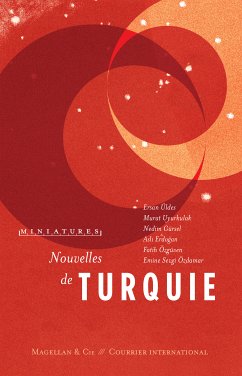 Nouvelles de Turquie (eBook, ePUB) - Üldes, Ersan; Uyurkulak, Murat