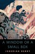 A Window or a Small Box (eBook, ePUB) - Bild 1