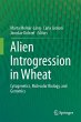 Alien Introgression in Wheat - Bild 1