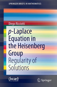 p-Laplace Equation in the Heisenberg Group - Ricciotti, Diego