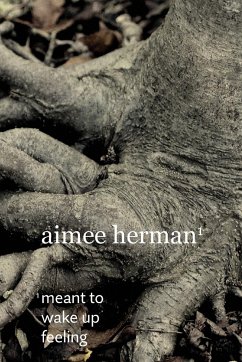 Meant to Wake Up Feeling - Herman, Aimee