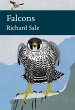 Falcons (eBook, ePUB) - Bild 1