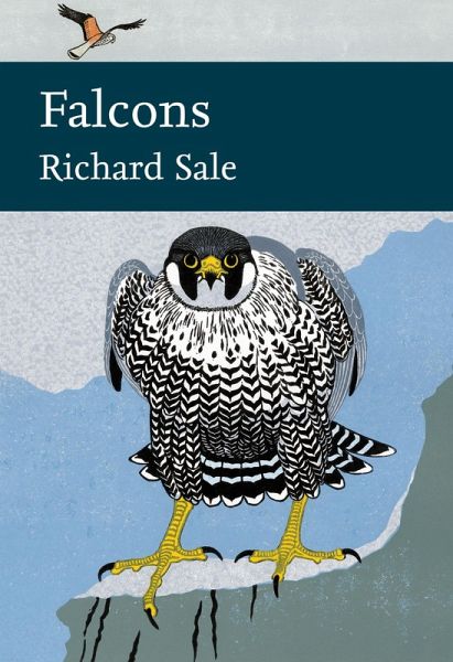 Falcons (eBook, ePUB) Falcons (eBook, ePUB)