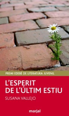 L'esperit de l'últim estiu - Vallejo Chavarino, Susana