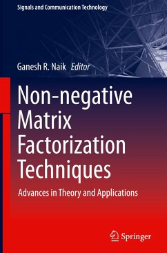 Non-negative Matrix Factorization Techniques