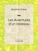 Les Aventures d'un blaireau (eBook, ePUB)