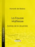 La Fausse Maîtresse (eBook, ePUB)