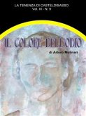 Il colore dell'odio (eBook, ePUB)