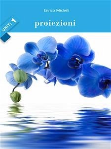 Proiezioni - Uniti 1 (eBook, ePUB) - Micheli, Enrico