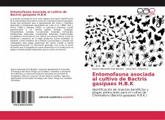 Entomofauna asociada al cultivo de Bactris gasipaes H.B.K - Ruiz Blandon, Bayron Alexander;Palacios C., Leivy del C.