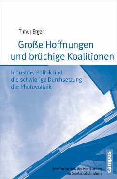 Große Hoffnungen und brüchige Koalitionen (eBook, PDF) - Ergen, Timur