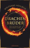 Drachenbrüder (eBook, ePUB)