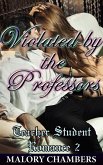 Violated By The Professors (eBook, ePUB)