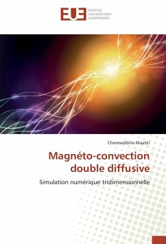 Magnéto-convection double diffusive - Maatki, Chemseddine