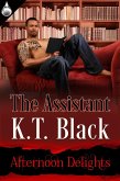 Assistant (eBook, ePUB)