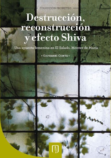 Destrucción, reconstrucción y efecto Shiva. (eBook, PDF)