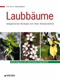 Laubbäume - Böhlmann, Dietrich
