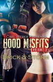Hood Misfits Volume 3 (eBook, ePUB)