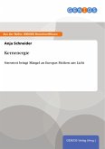Kernenergie (eBook, PDF)