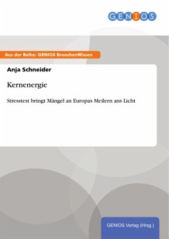 Cover Kernenergie (eBook, PDF)