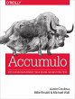 Accumulo (eBook, ePUB) - Bild 1