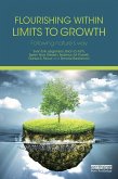 Flourishing Within Limits to Growth (eBook, ePUB)