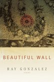 Beautiful Wall (eBook, ePUB)