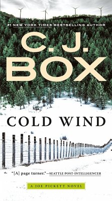 Cover Cold Wind (eBook, ePUB)