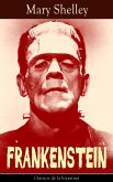 Frankenstein (eBook, ePUB)