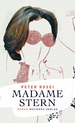 Madame Stern (eBook, ePUB) - Rosei, Peter