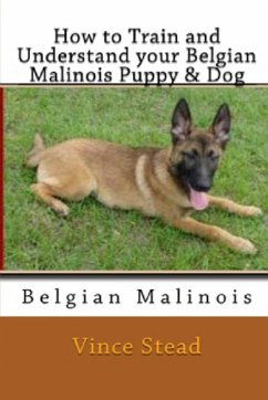 How to Train and Understand Your Belgian Malinois Puppy & Dog - Stead, Vince