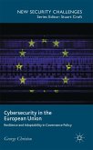 Cybersecurity in the European Union: Resilience and Adaptability in Governance Policy