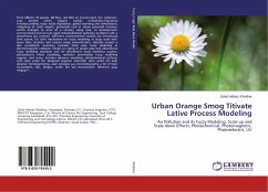 Urban Orange Smog Titivate Lative Process Modeling