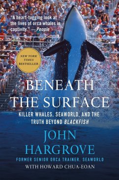 Beneath the Surface - Hargrove, John; Chua-Eoan, Howard