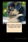 How to Raise and Train Your Rottweiler Puppy or Dog to be Great