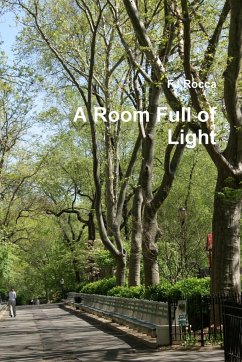 A Room Full of Light - Rocca, Fj