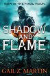 Shadow and Flame - Bild 1