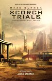 Maze Runner: The Scorch Trials Official Graphic Novel Prelude (eBook, ePUB)